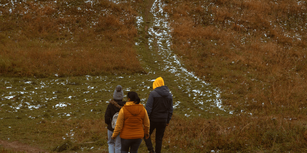 Gorson Bugyal Trek: Distance, Route, Tali Lake & Chattrakund