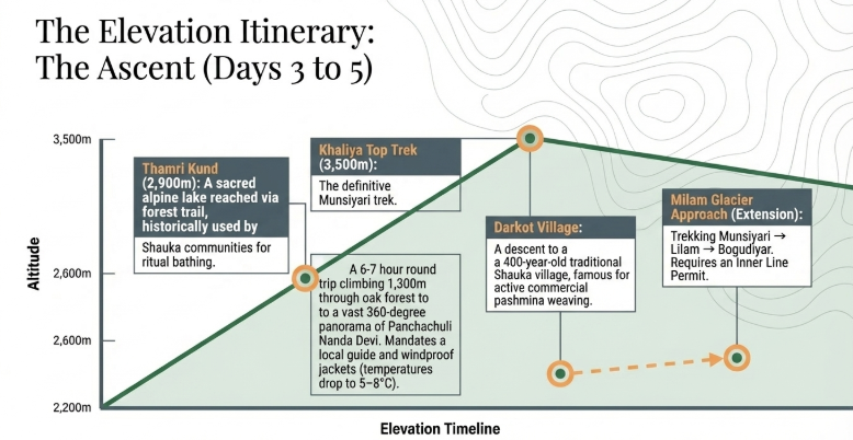Elevation chart of Munsiyari ascent itinerary highlighting Thamri Kund, Khaliya Top trek at 3,500 meters, Darkot village, and optional Milam Glacier approach with increasing altitude levels.