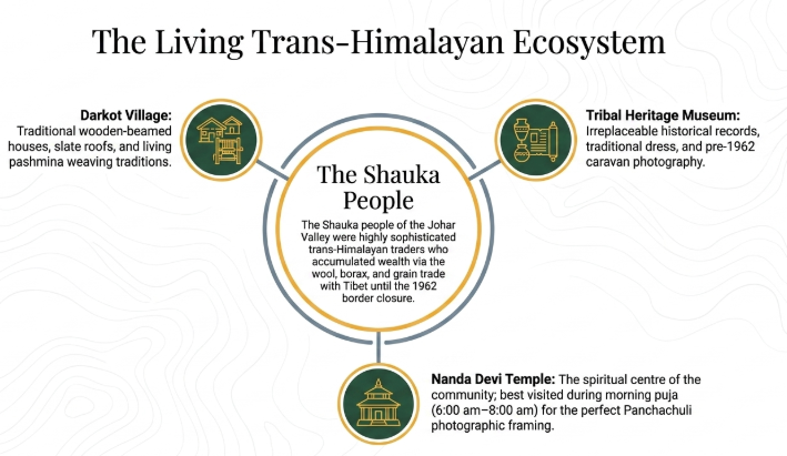 Infographic of the Shauka community in Munsiyari showing Darkot Village, Tribal Heritage Museum, and Nanda Devi Temple, highlighting trans-Himalayan culture, trade history, and traditional Kumaoni lifestyle in Uttarakhand.