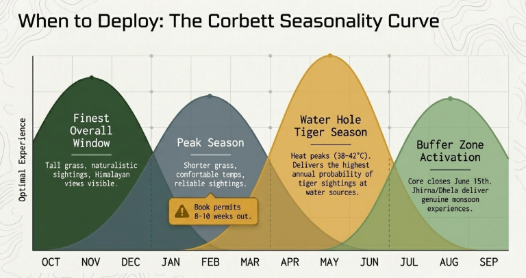 Seasonality infographic titled “When to Deploy: The Corbett Seasonality Curve” illustrating the best times of year for different wildlife experiences in Jim Corbett National Park. The chart maps optimal safari conditions across months from October to September using overlapping colored curves. Highlights include the “Finest Overall Window” during November–December with naturalistic sightings and Himalayan views, “Peak Season” around February with comfortable weather and reliable tiger sightings, “Water Hole Tiger Season” during April–May with the highest tiger sighting probability near water sources, and “Buffer Zone Activation” during monsoon months when core zones close and Jhirna/Dhela remain operational. A note advises booking permits 8–10 weeks in advance during peak travel periods.