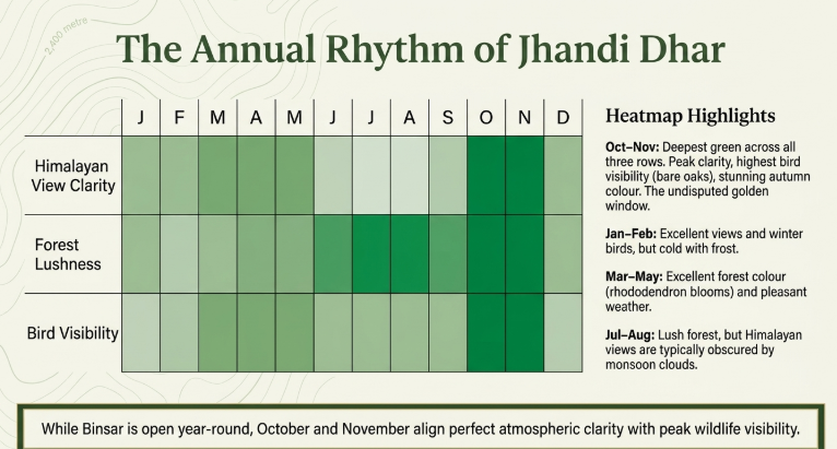 Binsar seasonal heatmap showing Himalayan view clarity, forest lushness, and bird visibility throughout the year, highlighting October–November as the best time for clear views, autumn colors, and peak wildlife activity in Uttarakhand.