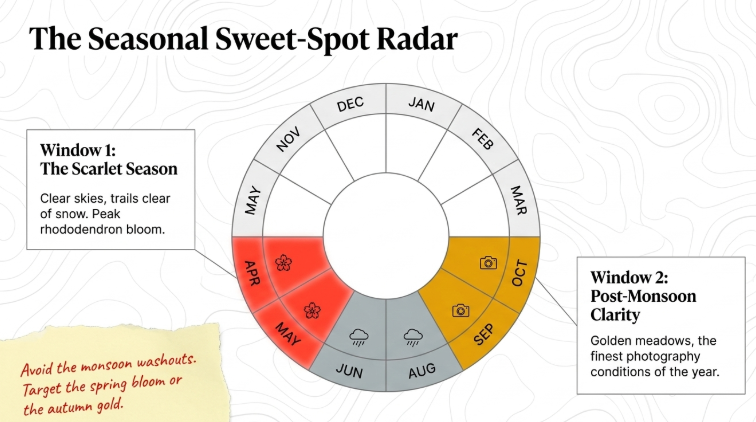 Seasonal travel radar for Chopta showing best visit windows in April&ndash;May for rhododendron bloom and September&ndash;October for post-monsoon clarity, with monsoon months to avoid in Uttarakhand Himalayas.