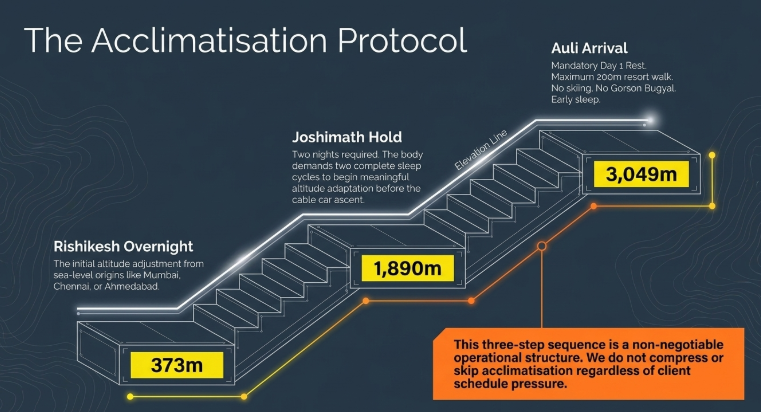 Infographic titled “The Acclimatisation Protocol” illustrating a structured three-step altitude adjustment process for travelers heading to Auli. The design uses a staircase-style elevation graphic showing progressive altitude increases from Rishikesh at 373 meters, to a mandatory acclimatization stop in Joshimath at 1,890 meters, and finally arrival in Auli at 3,049 meters. Each stage includes guidance such as overnight rest, reduced physical activity, hydration, and gradual body adaptation before ascending further. A highlighted note emphasizes that this acclimatization sequence is a mandatory operational protocol that should not be skipped despite schedule pressure.