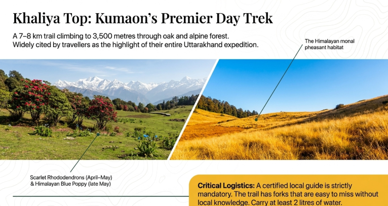Khaliya Top day trek in Munsiyari featuring alpine meadows with rhododendron blooms, panoramic Himalayan views including Panchachuli peaks, golden autumn grasslands, and trekking route details in Uttarakhand.
