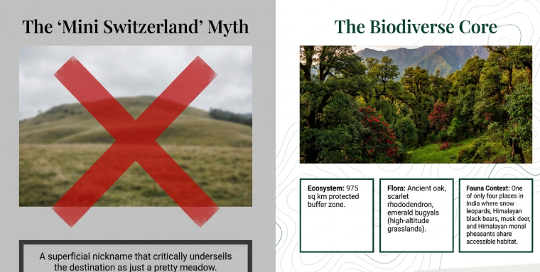 Chopta Uttarakhand biodiversity infographic contrasting the &ldquo;Mini Switzerland&rdquo; myth with rich forest ecosystem, featuring rhododendron forests, alpine meadows, and wildlife habitat including Himalayan birds and deer.