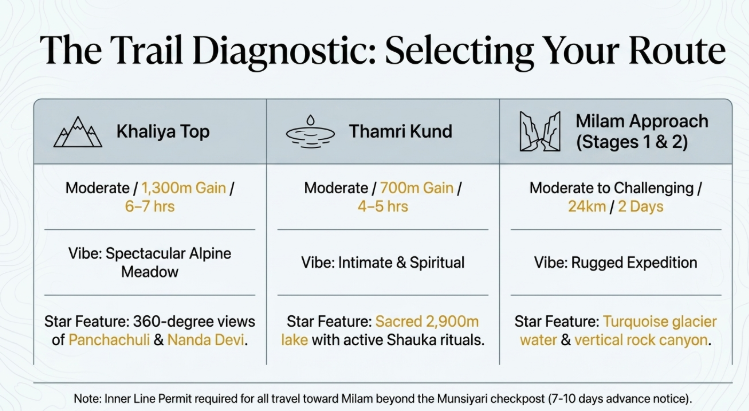 Trail comparison chart for Munsiyari treks showing Khaliya Top (moderate, 1300m gain, 6&ndash;7 hrs, alpine meadow views of Panchachuli and Nanda Devi), Thamri Kund (moderate, 700m gain, 4&ndash;5 hrs, sacred lake experience), and Milam Glacier route (moderate to challenging, 24 km, 2 days, rugged expedition in Uttarakhand Himalayas).