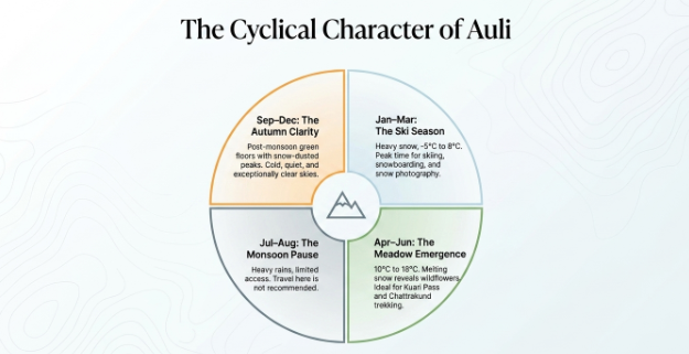 Infographic titled “The Cyclical Character of Auli” showing how Auli transforms across the four seasons using a circular quadrant diagram. January to March is presented as the ski season, featuring heavy snowfall, temperatures between -5°C and 8°C, and opportunities for skiing, snowboarding, and snow photography. April to June highlights the meadow emergence season, with temperatures from 10°C to 18°C, blooming alpine wildflowers, and ideal conditions for treks to Kuari Pass and Gorson Bugyal. July to August represents the monsoon phase, characterized by heavy rainfall, limited accessibility, and generally unfavorable travel conditions. September to December showcases autumn clarity, offering post-monsoon green landscapes, snow-dusted mountain peaks, cool temperatures, and exceptionally clear Himalayan views. The design features a clean circular layout with seasonal color accents, mountain iconography, and subtle topographic contour patterns in the background.