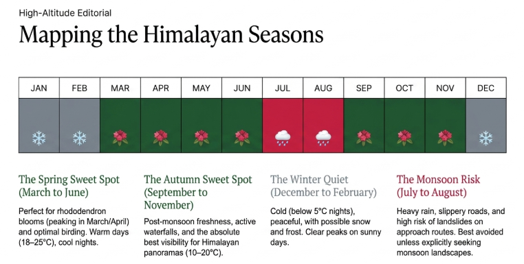 Binsar Wildlife Sanctuary seasonal travel guide infographic showing the best time to visit Binsar, including spring rhododendron blooms from March to June, monsoon conditions in July and August, clear Himalayan views in autumn from September to November, and peaceful winter landscapes from December to February.