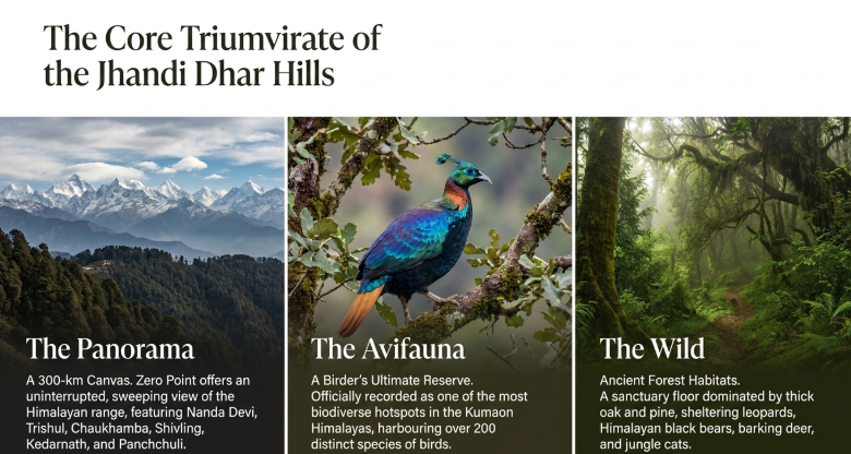 Binsar Wildlife Sanctuary infographic highlighting the Jhandi Dhar Hills' three main attractions: panoramic Himalayan mountain views from Zero Point, exceptional birdwatching with over 200 species, and ancient oak-pine forests rich in Himalayan wildlife.