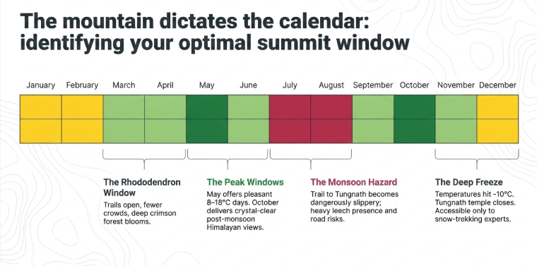 Chopta and Chandrashila trekking season infographic showing the best months to visit, including rhododendron blooms in March and April, peak trekking conditions in May and October, monsoon risks during July and August, and winter snow conditions from December to February in Uttarakhand.