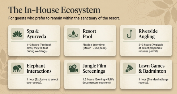 Infographic titled 