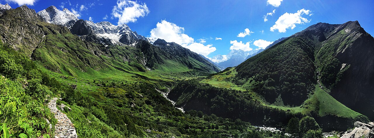 Panoramic view of the Valley of Flowers meadow in Uttarakhand, framed by Himalayan peaks